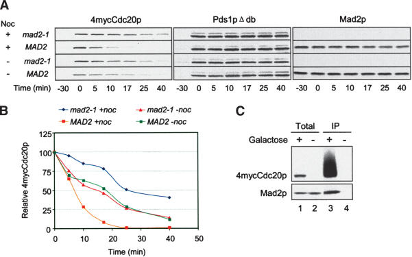 Figure 4.