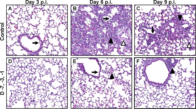 FIG 3