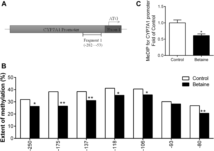 Figure 5