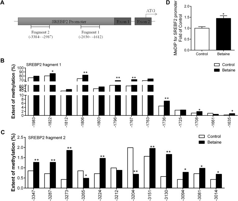 Figure 4