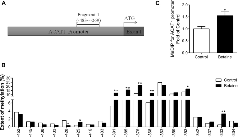 Figure 6