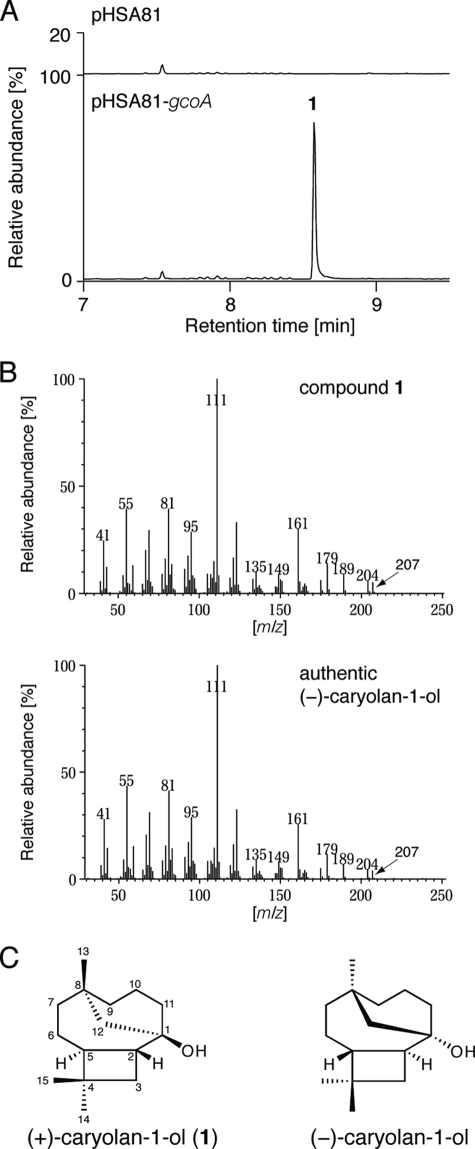 FIGURE 1.