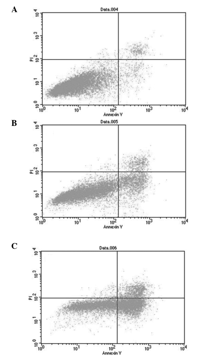 Figure 2.