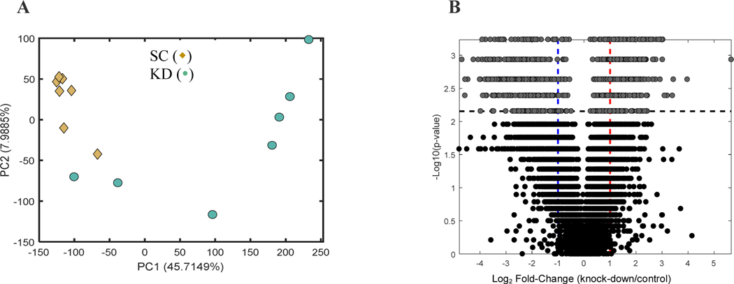 Figure 4: