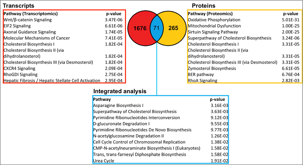 Figure 3: