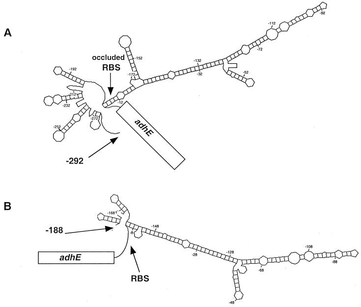 FIG. 5