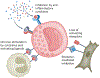 Fig. 2 |