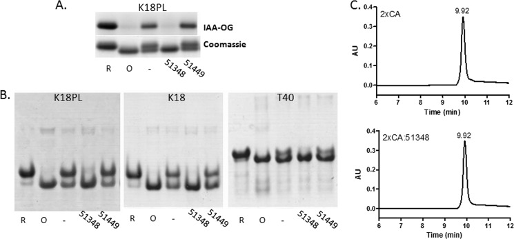 FIGURE 2.