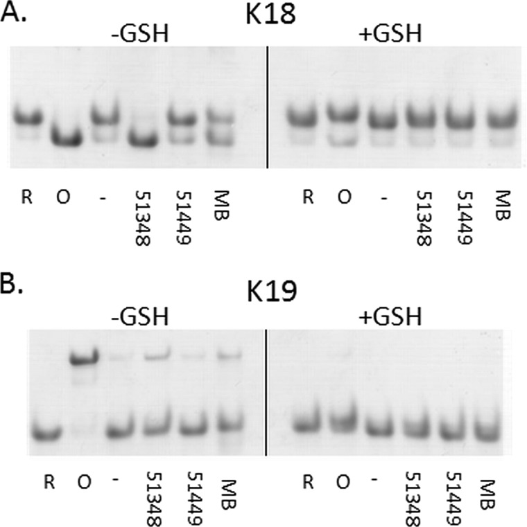 FIGURE 9.