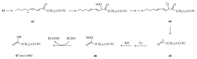 Scheme 4