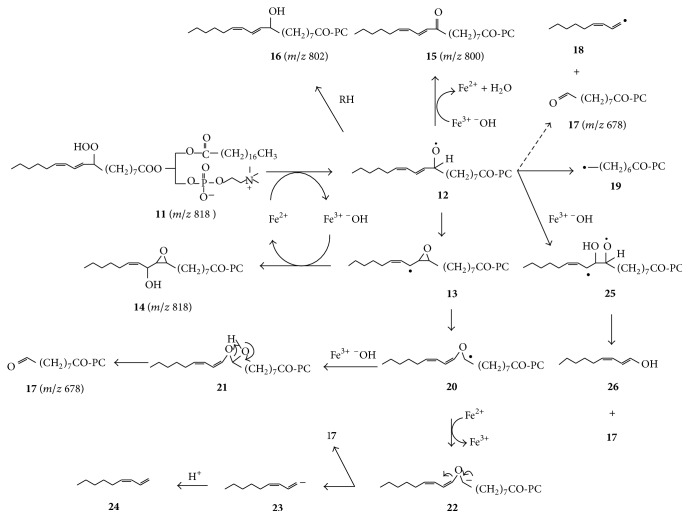 Scheme 2