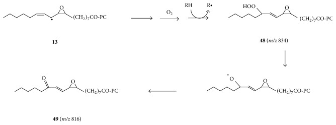 Scheme 5