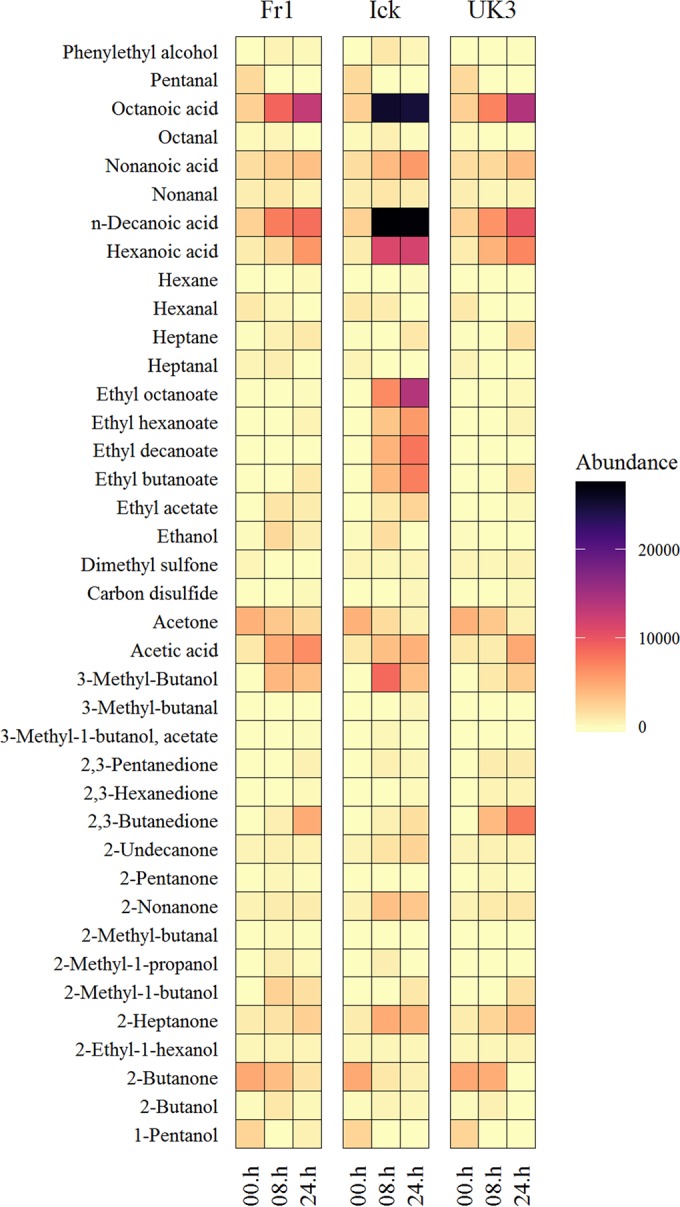 FIG 4 