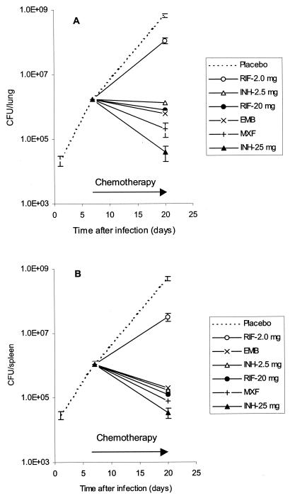 FIG. 1.