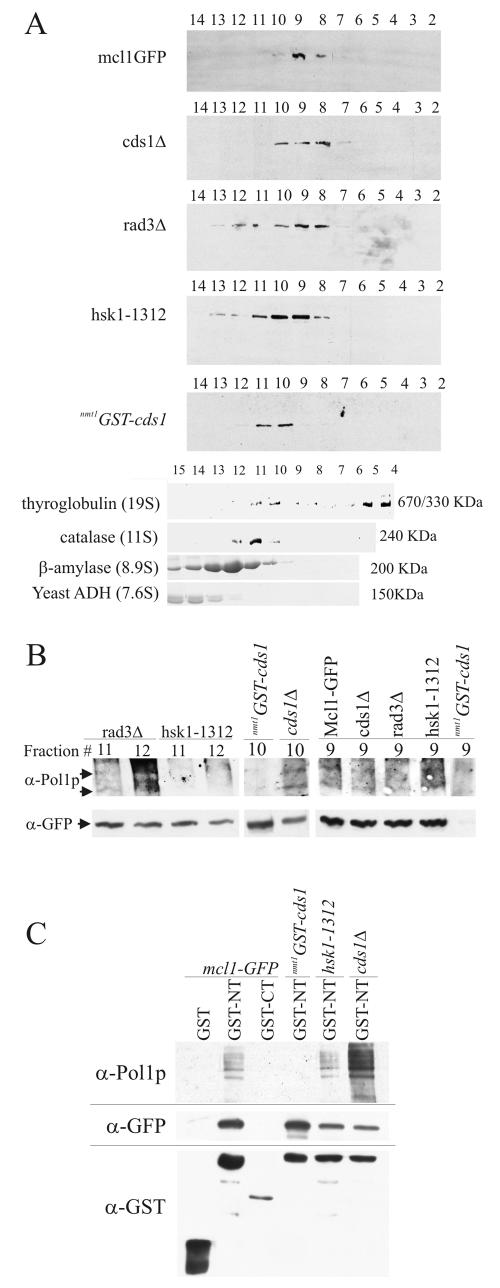 FIG. 6.