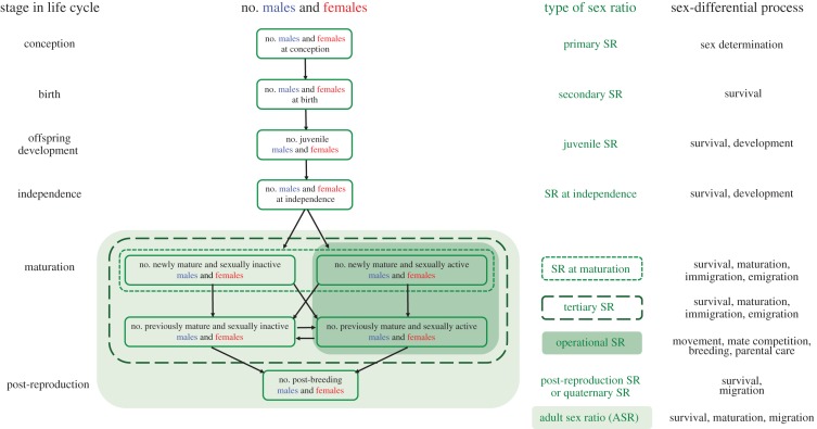 Figure 1.