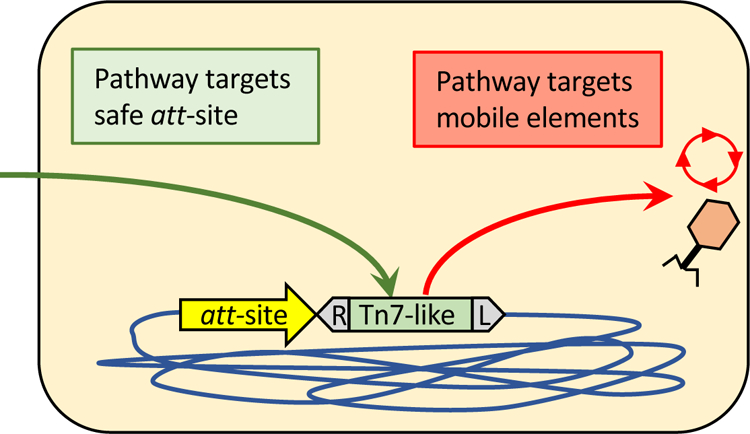 Figure 1 –