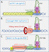 Figure 2 –