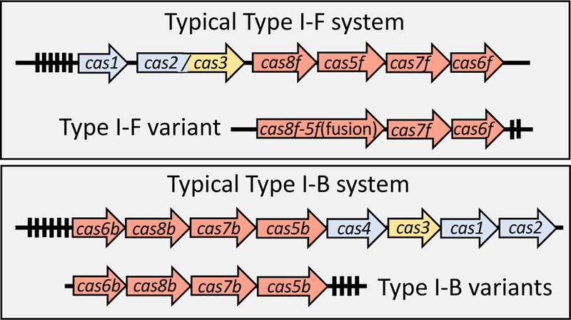 Figure 4 –