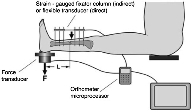 Fig. 4