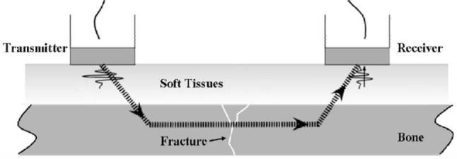 Fig. 6