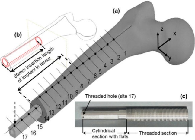 Fig. 19