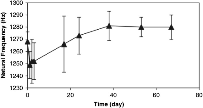 Fig. 21