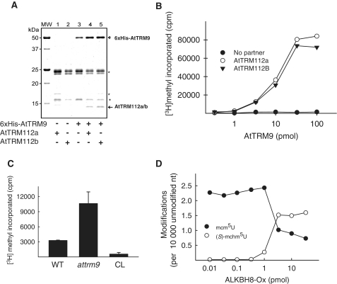 Figure 5.