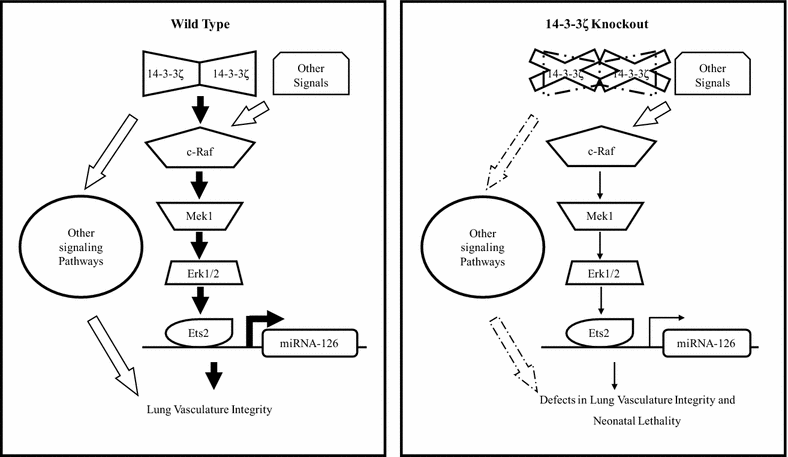 Fig. 6