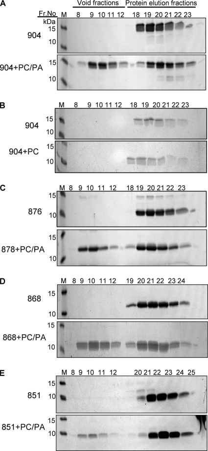 FIG. 6.