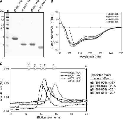 FIG. 2.