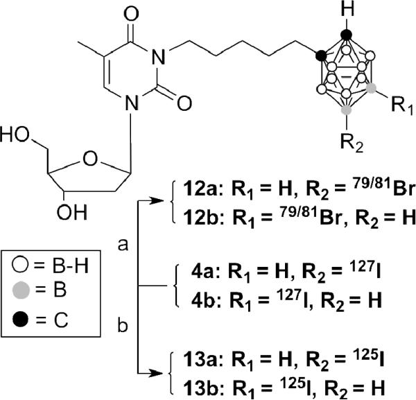 Scheme 3