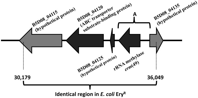 FIG 1