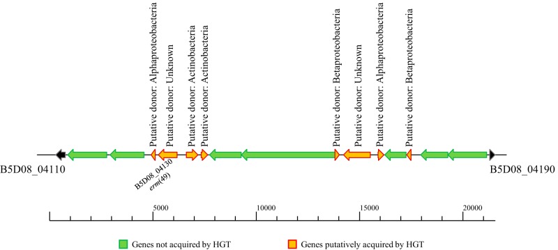 FIG 3