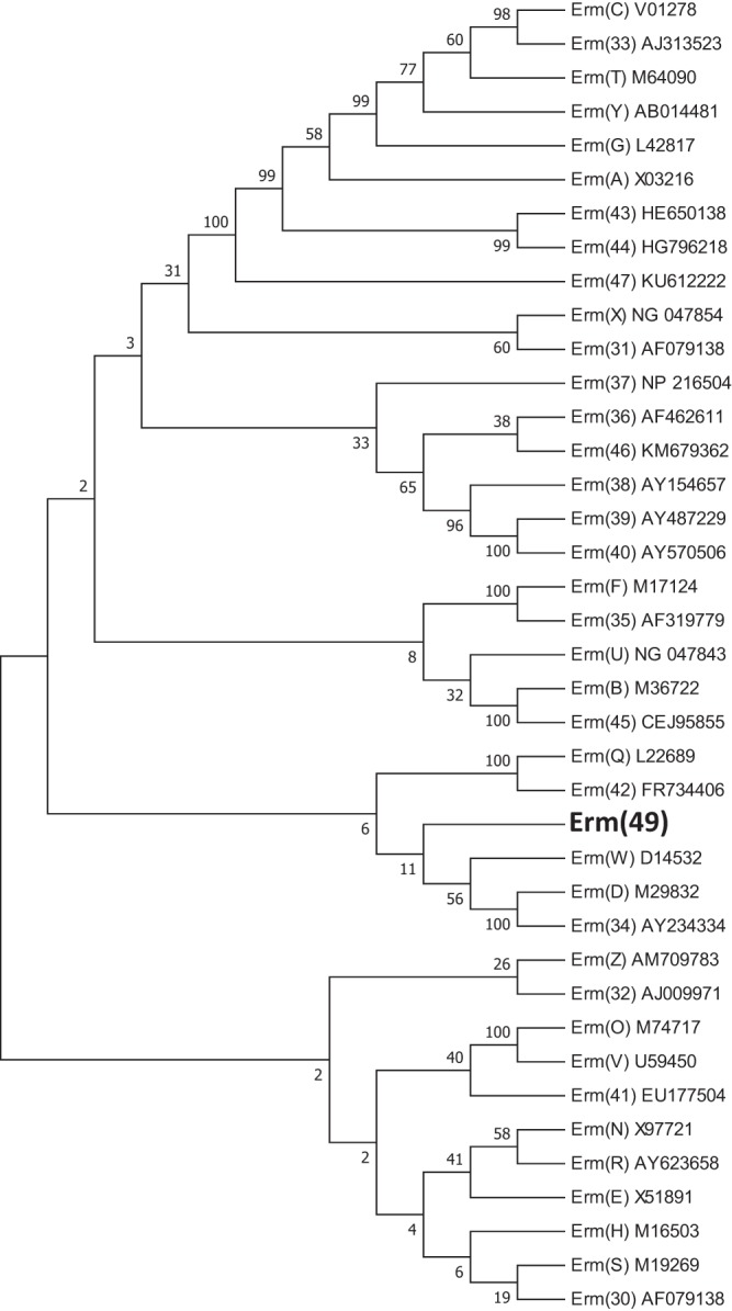 FIG 2