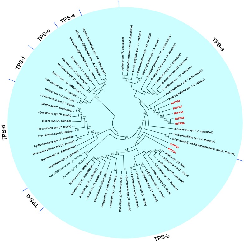 FIGURE 3