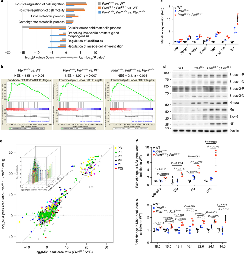 Fig. 4 |