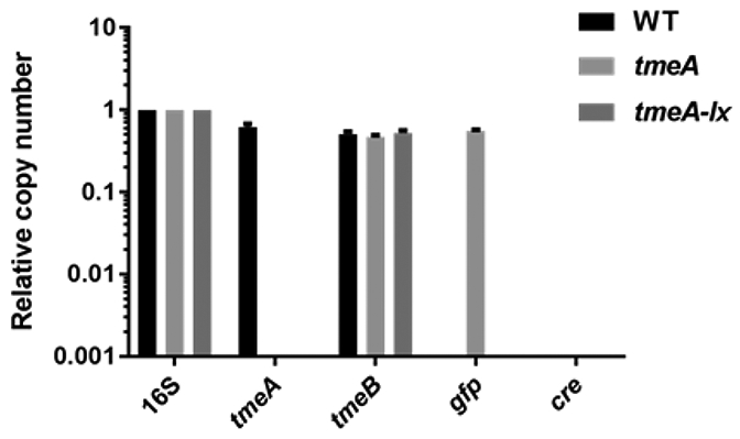 Figure 4: