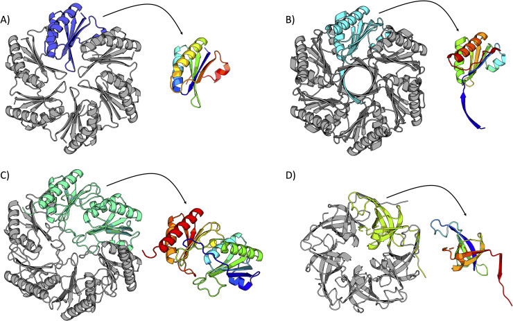 Fig 2