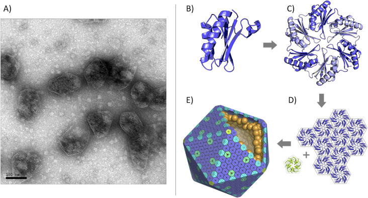 Fig 1