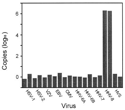 FIG. 1