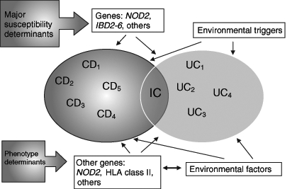 Figure 1)