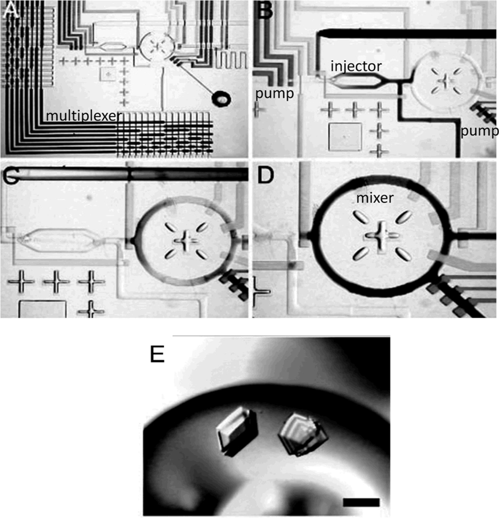 Figure 5