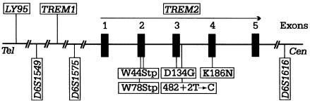 Figure  2