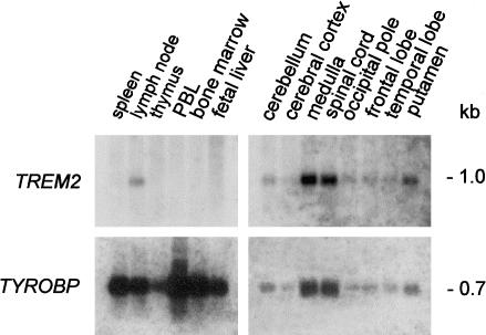 Figure  3