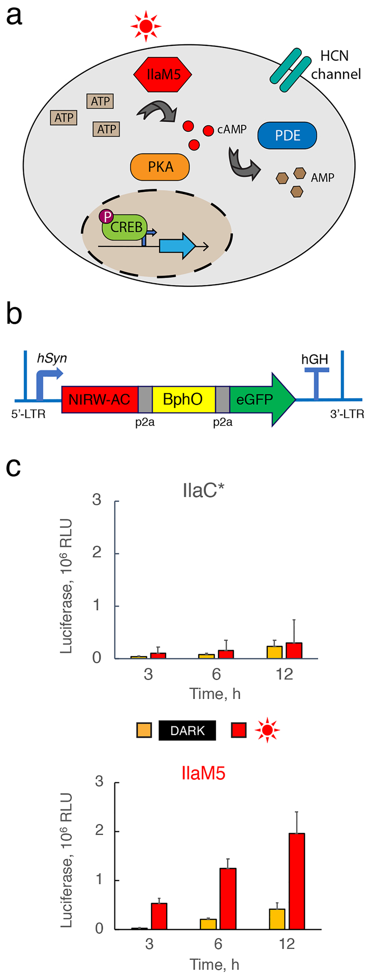 Figure 5.