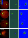 Fig 2
