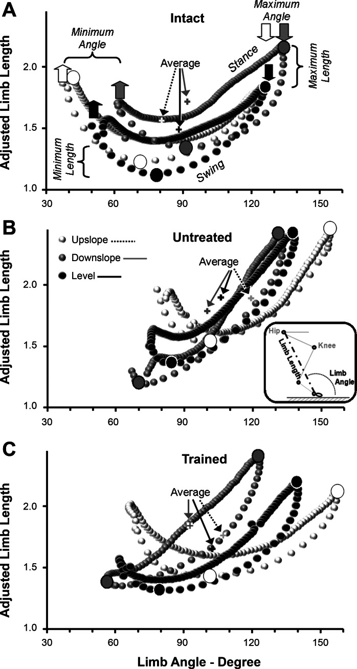 Fig. 8.