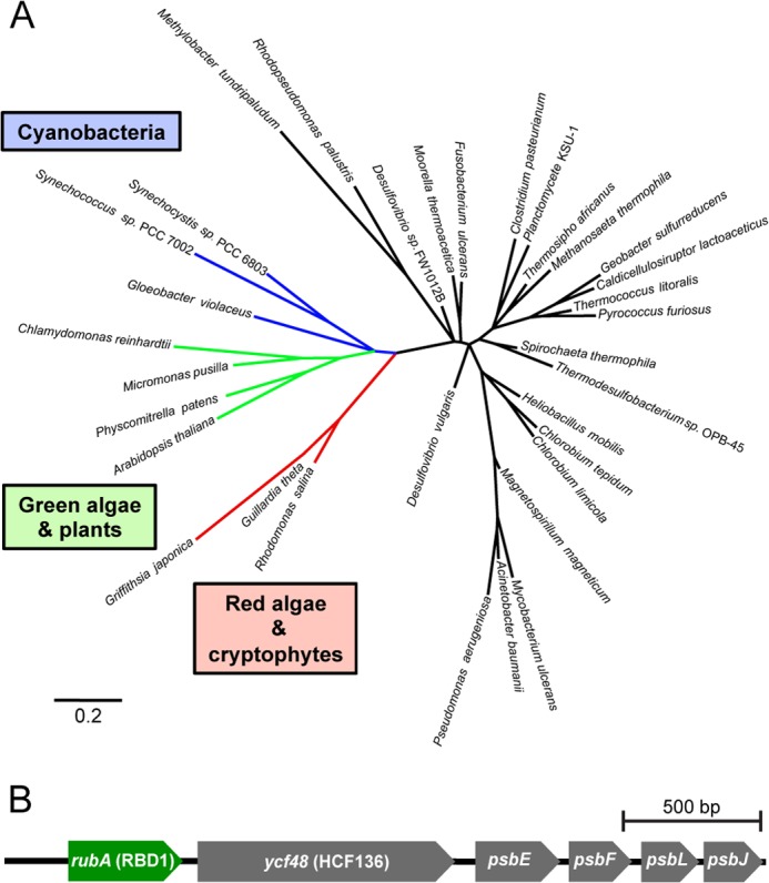 FIGURE 3.