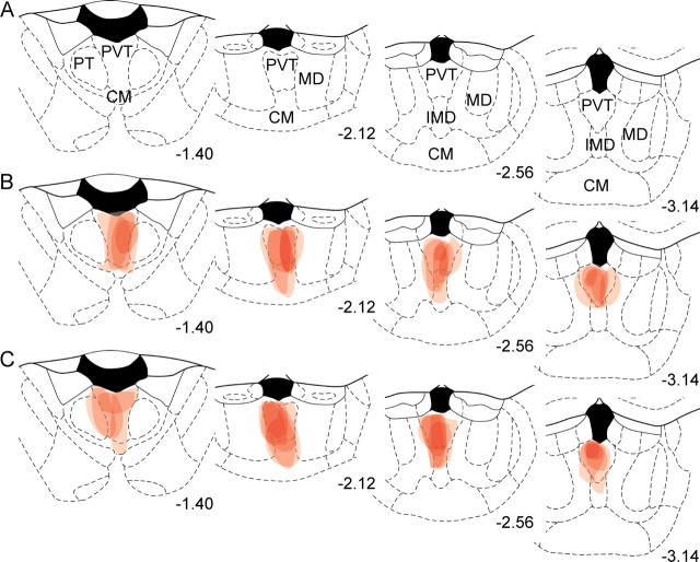 Figure 7.